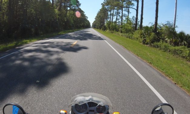 Live GPS Feed