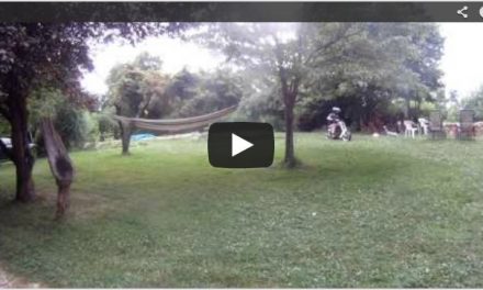 Mini Chopper Pit Bike – $50 at a Candler Yard Sale