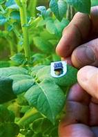 New Micro-chip lets plants call home when they need water