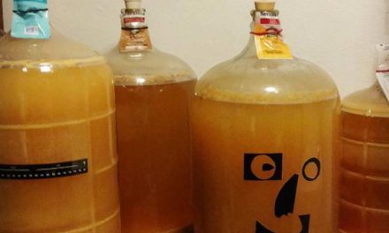 First Post! Wow! Homebrew!